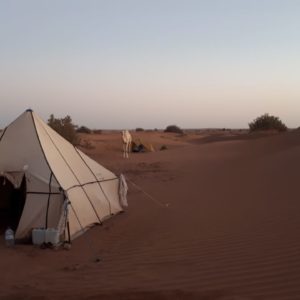 by desert